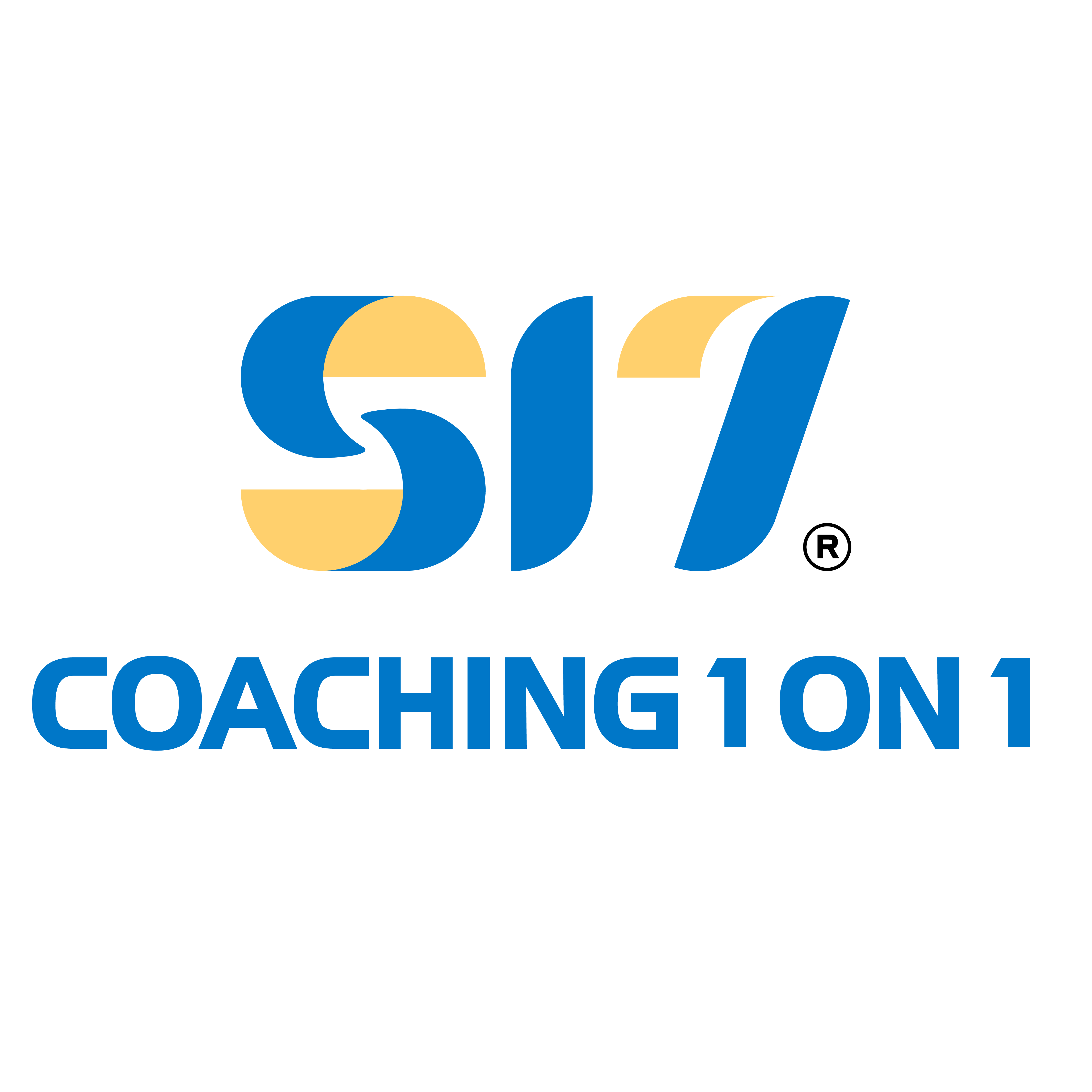S17 Coaching 1one1